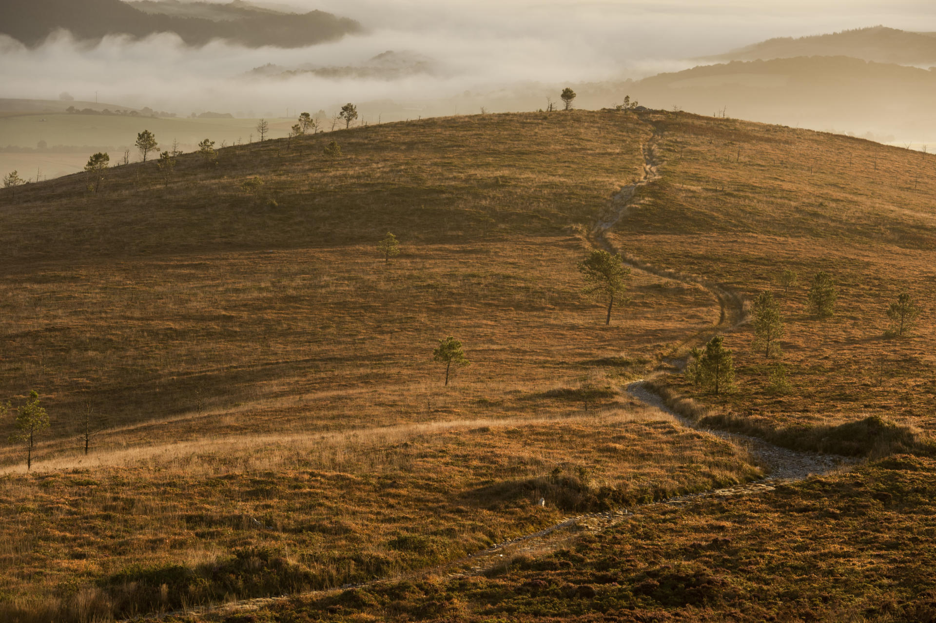 Le Menez Hom Tourisme Bretagne