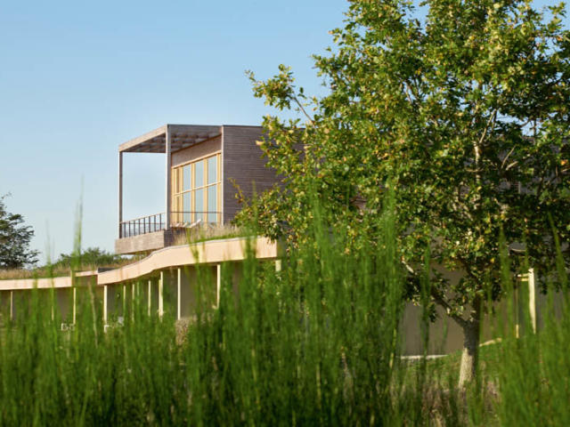 Eco-Hôtel Spa La Grée des Landes - Cournon