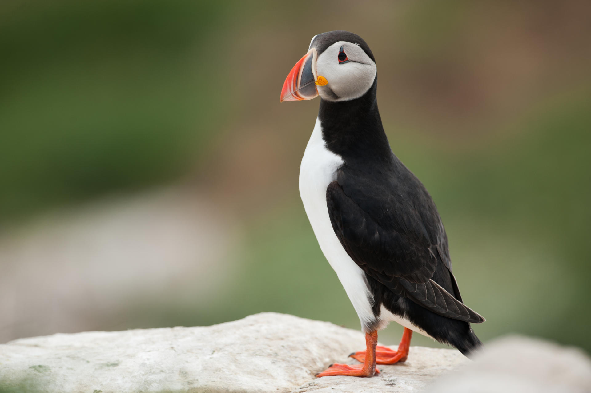 Les 7 les Tourisme Bretagne