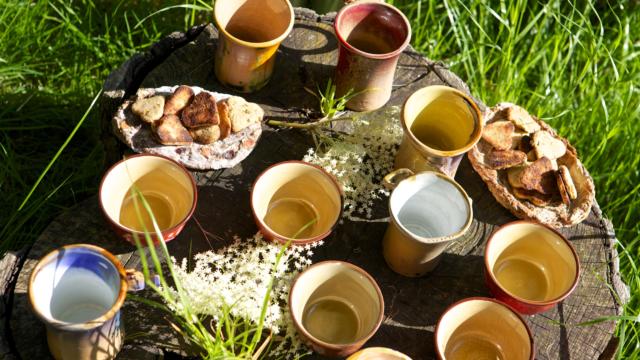 Apprenez à reconnaître et cuisiner les plantes sauvages