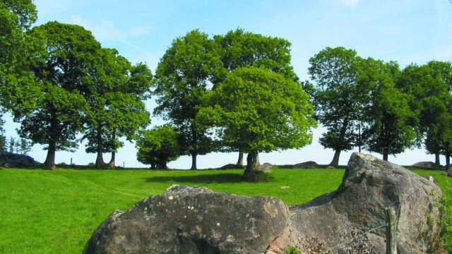 cogles-paysage.jpg