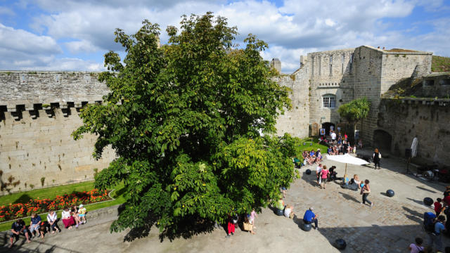 concarneau-3.jpg