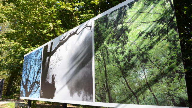 festival-photo-la-gacilly-jacqueline-piriou7.jpg