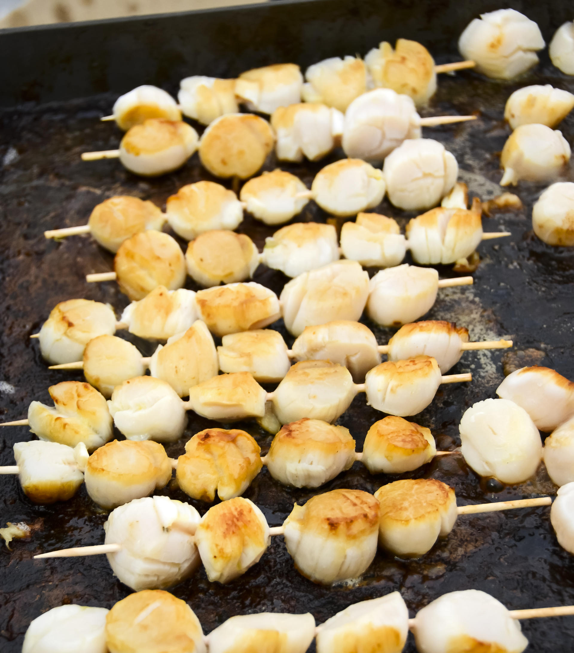 Jakobsmuschelfest Tourisme Bretagne