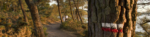 Larmor Baden - Golfe du Morbihan
