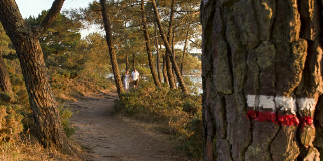 gr34-larmor-baden-emmanuel-berthier.jpg