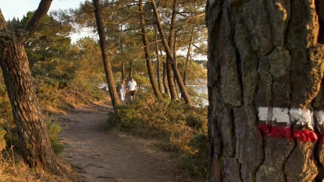 Larmor Baden - Golfe du Morbihan