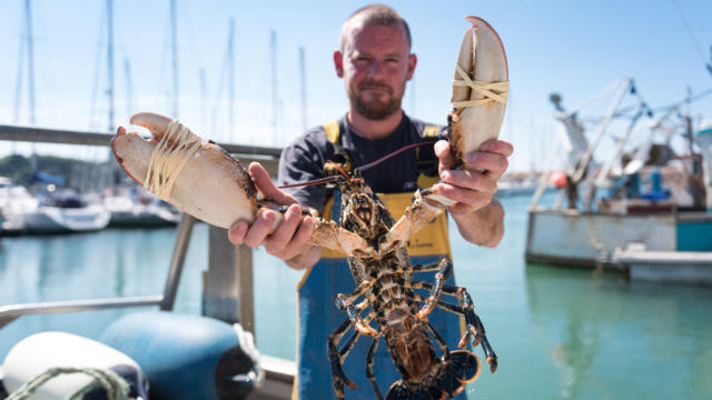 homard-trebeurden-emmanuel-berthier-60-17.jpg