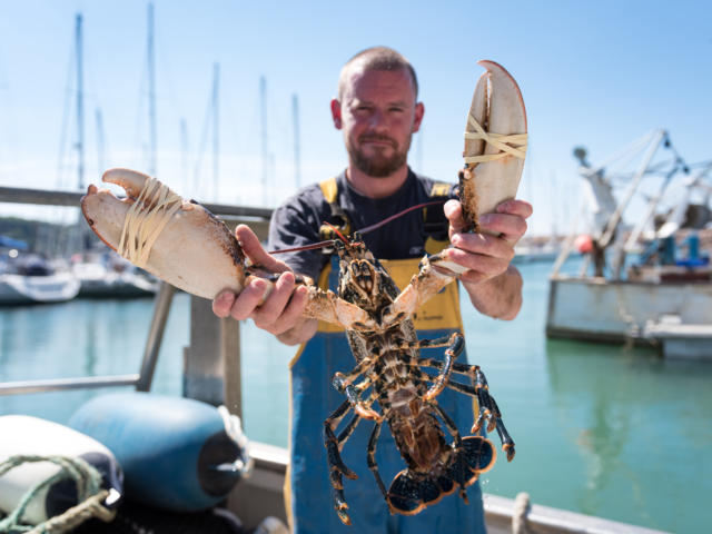 homard-trebeurden-emmanuel-berthier-60-17.jpg