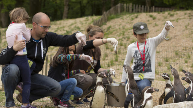 Devenez soigneur d’un jour à Branféré