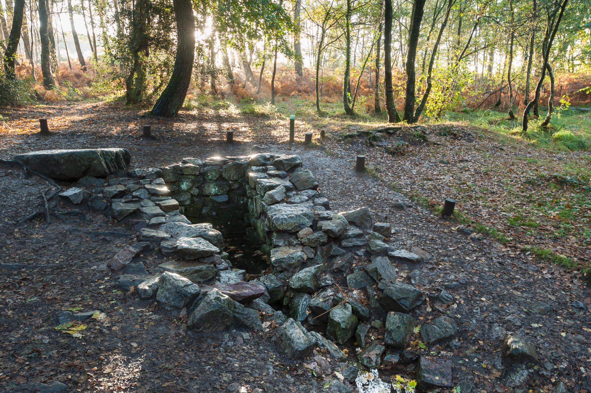 foret de broceliande bretagne