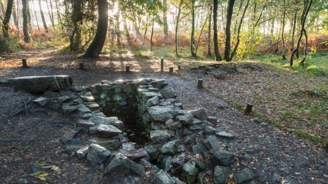 la-foret-de-broceliande-1.jpg