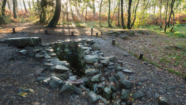 la-foret-de-broceliande-1.jpg