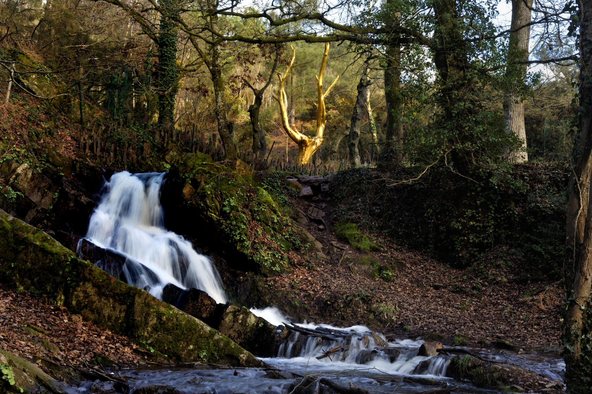 foret de broceliande