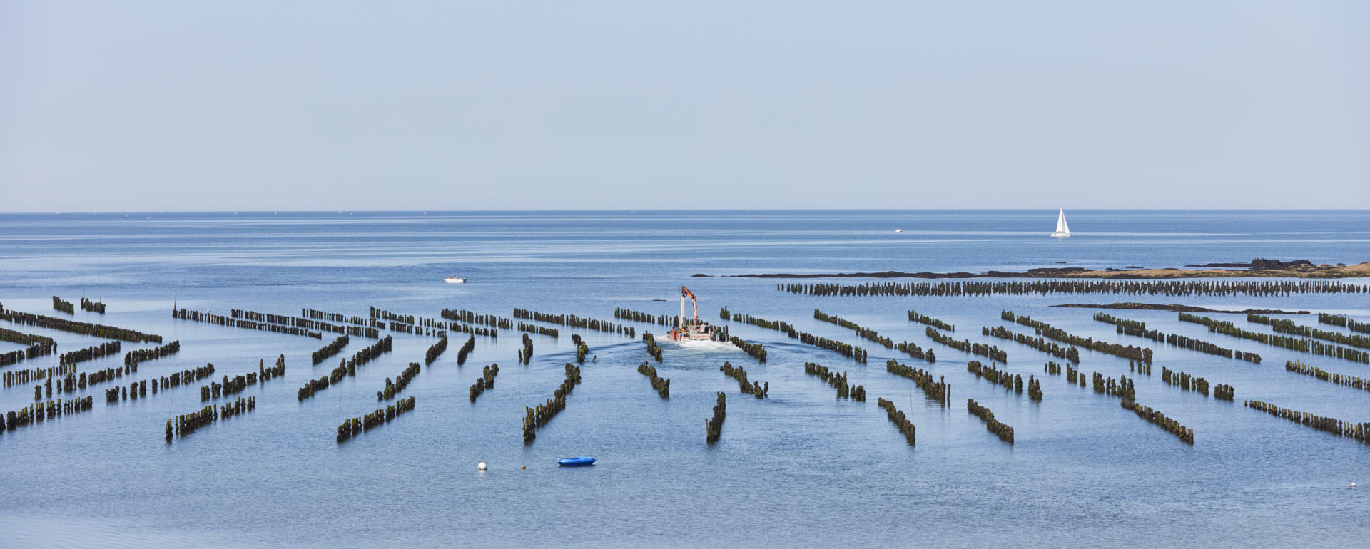 Menu Picture Of Constance Ephelia Mahe Island Tripadvisor