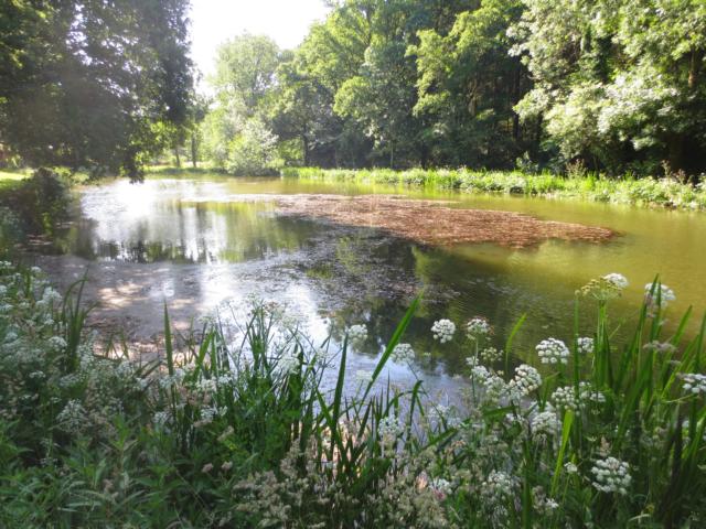 noyal-muzillac-etang-michochene-damgan-la-roche-bernard.jpg