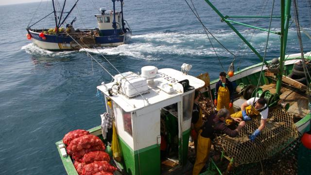peche-de-coquilles-saint-jacques-erquyjo-rouxel.jpg