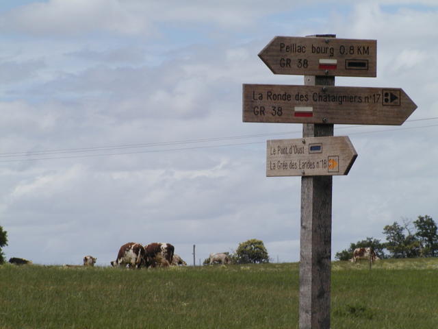 peillac-crt.jpg