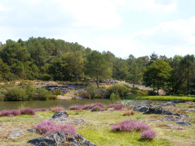 Réserve Naturelle Des Landes De Monténeuf