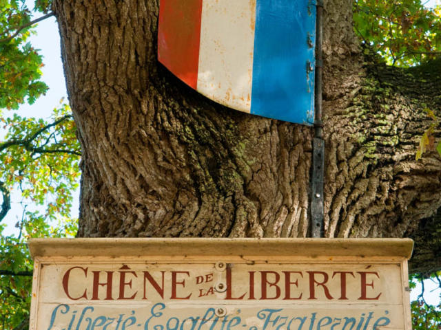 saint-christophe-de-valains-chene.jpg