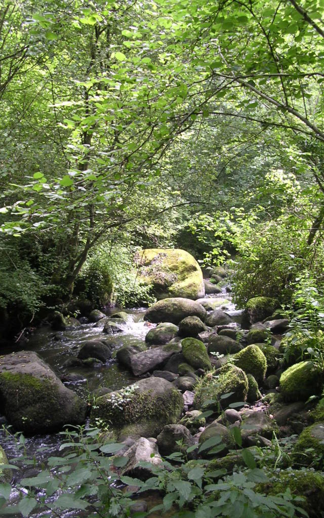 saint-christophe-de-valains-vallee-de-la-minette.jpg
