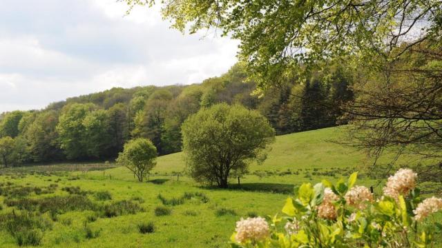 seglien-paysage-michel-langle.jpg