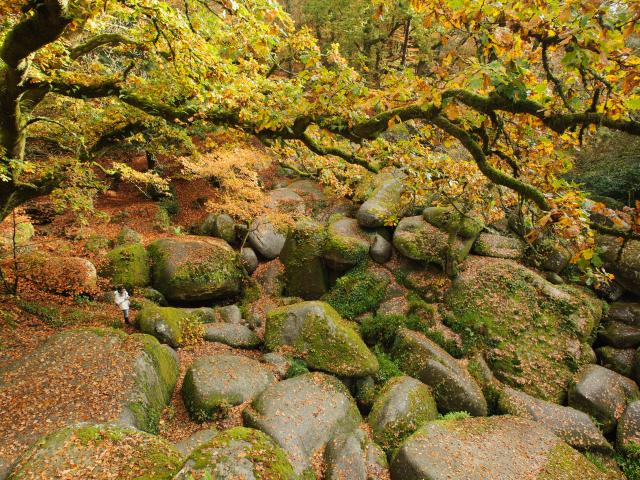 1-huelgoat-chaos-granitique-emmanuel-berthier.jpg