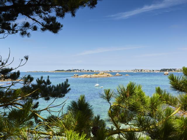 4-roscoff-a-lamoureux.jpg