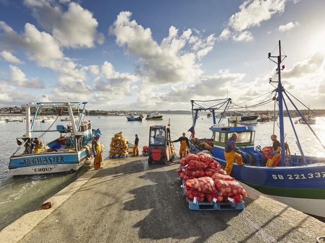 Erquy - Le port