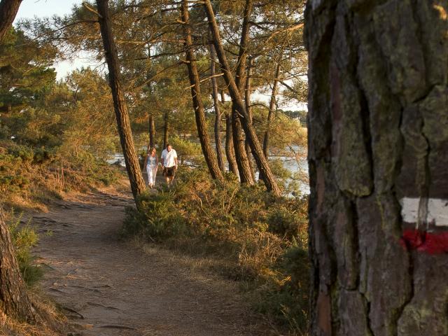 Larmor Baden - Golfe du Morbihan