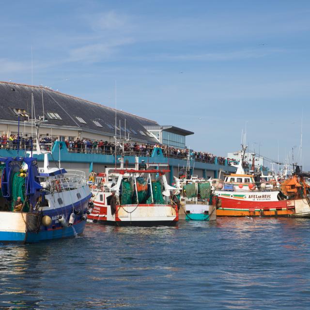 guilvinec-journee-peche.jpg