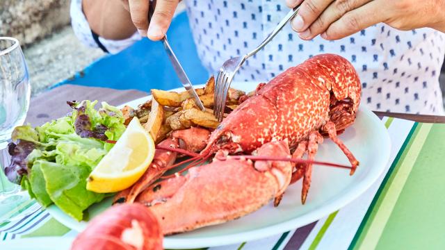 Lobster Brittany Tourism [ 360 x 640 Pixel ]