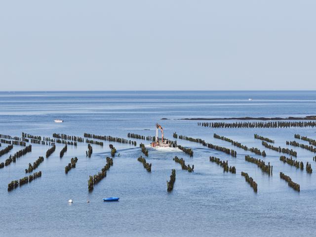 la-plage-de-la-mine-d-or-penestin-1.jpg