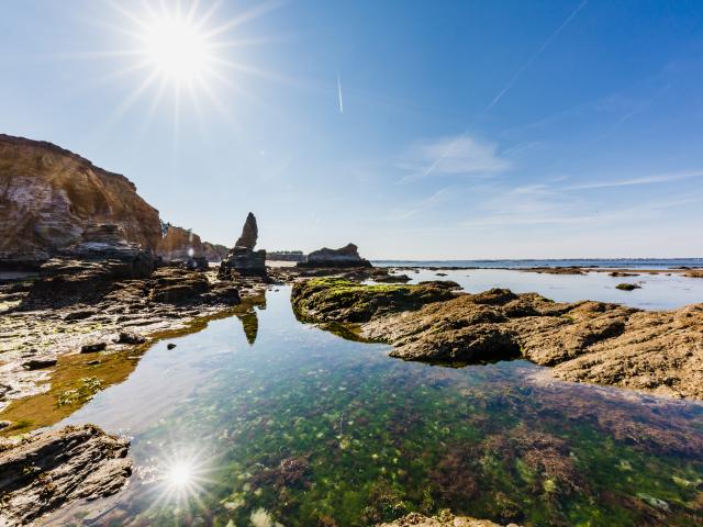 la-plage-de-la-mine-d-or-penestin-6.jpg