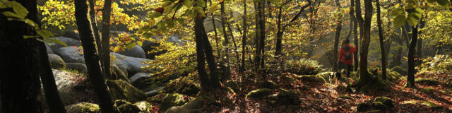 0-les-gorges-du-corong-yvon-bolle.jpg