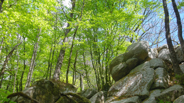 1-les-gorges-du-corong-gilles-larbi-1.jpg