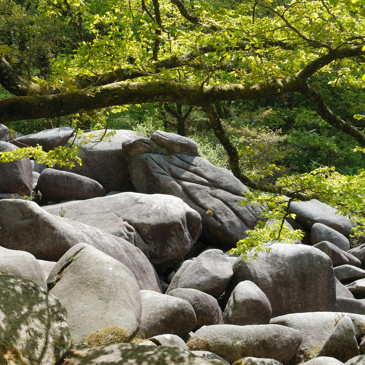 Die Insel BelleIle Tourisme Bretagne