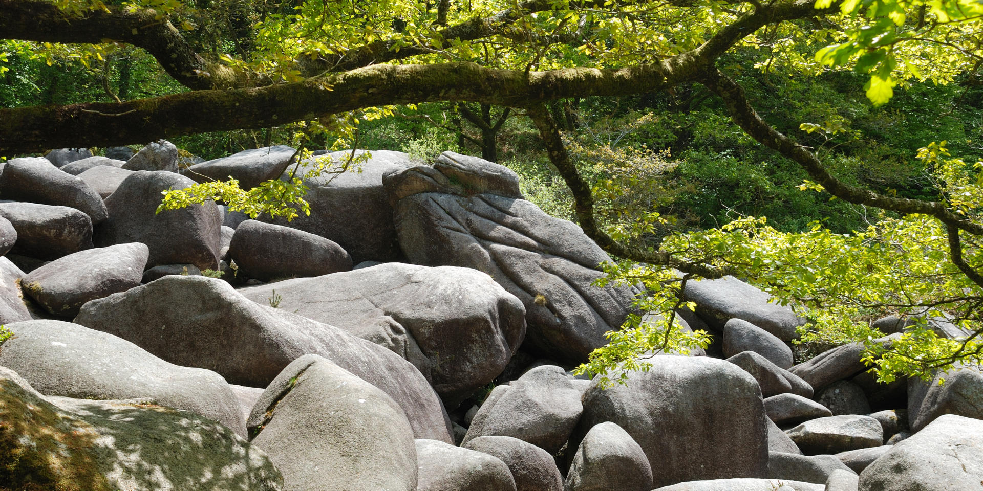 Les Gorges Du Corong Brittany Tourism