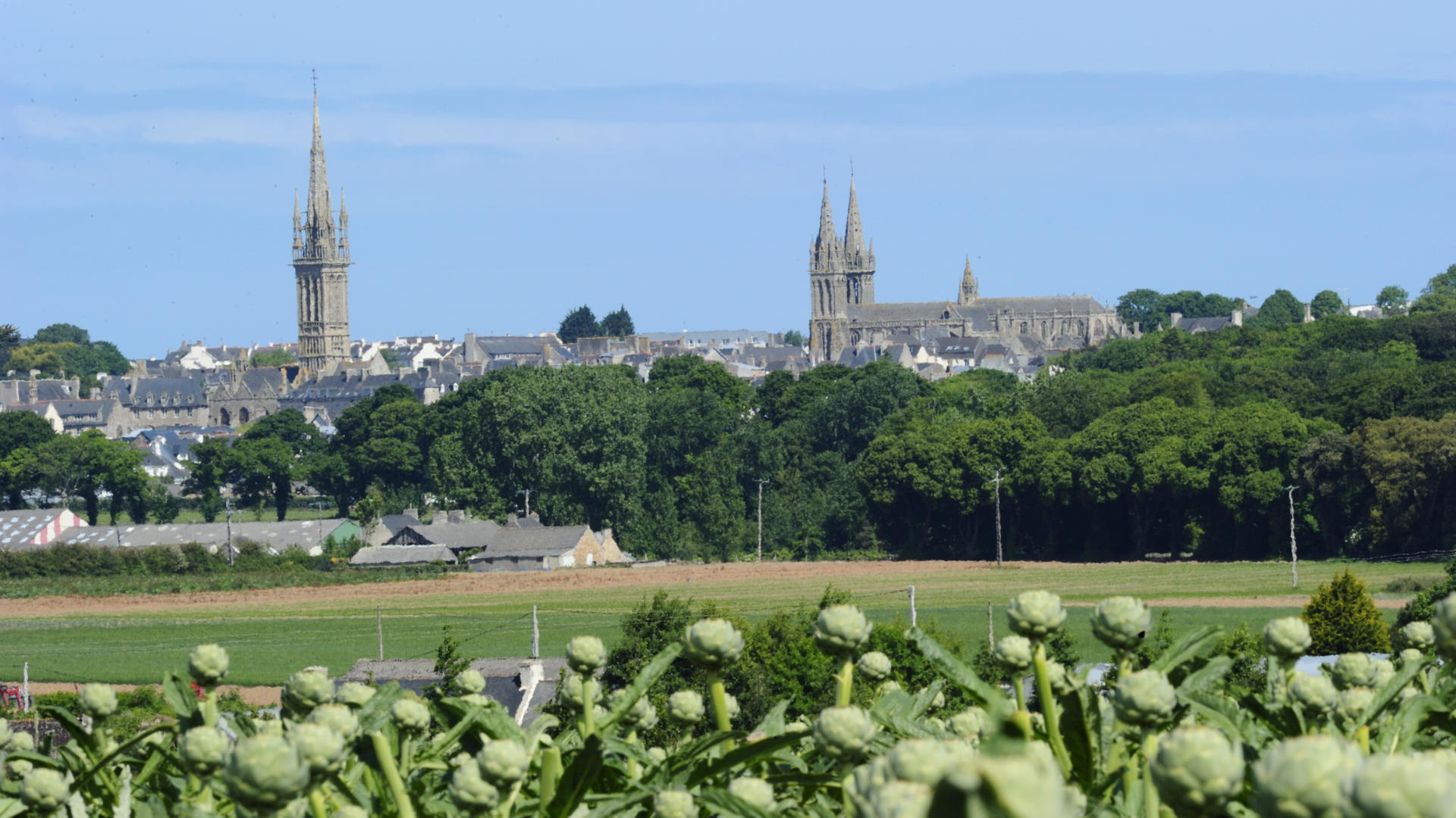 SaintPoldeLéon Brittany tourism