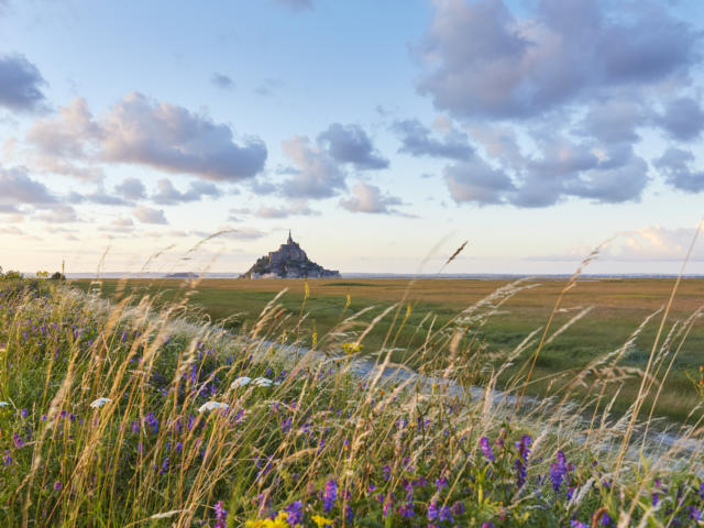 mont saint Michel marécage