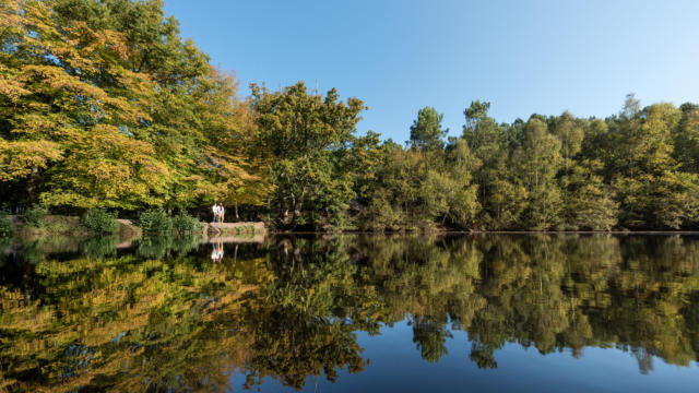 Le Val sans Retour et le miroir aux fées - Brocéliande