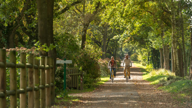 La voie verte parcourue par les vélos électriques - Brocéliande