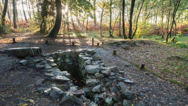 Paimpont, la fontaine de Barenton dans la forêt de Brocéliande