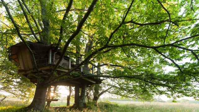 cabane-dans-les-arbres-2-berthier-emmanuel.jpg