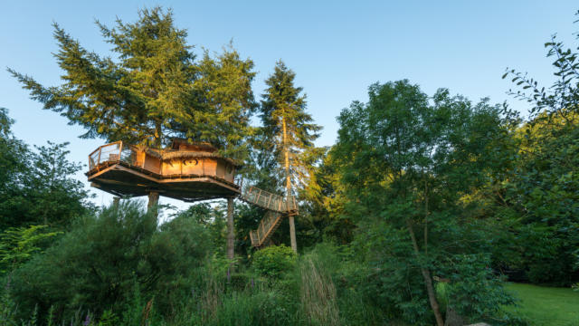 cabane-dans-les-arbres-berthier-emmanuel.jpg