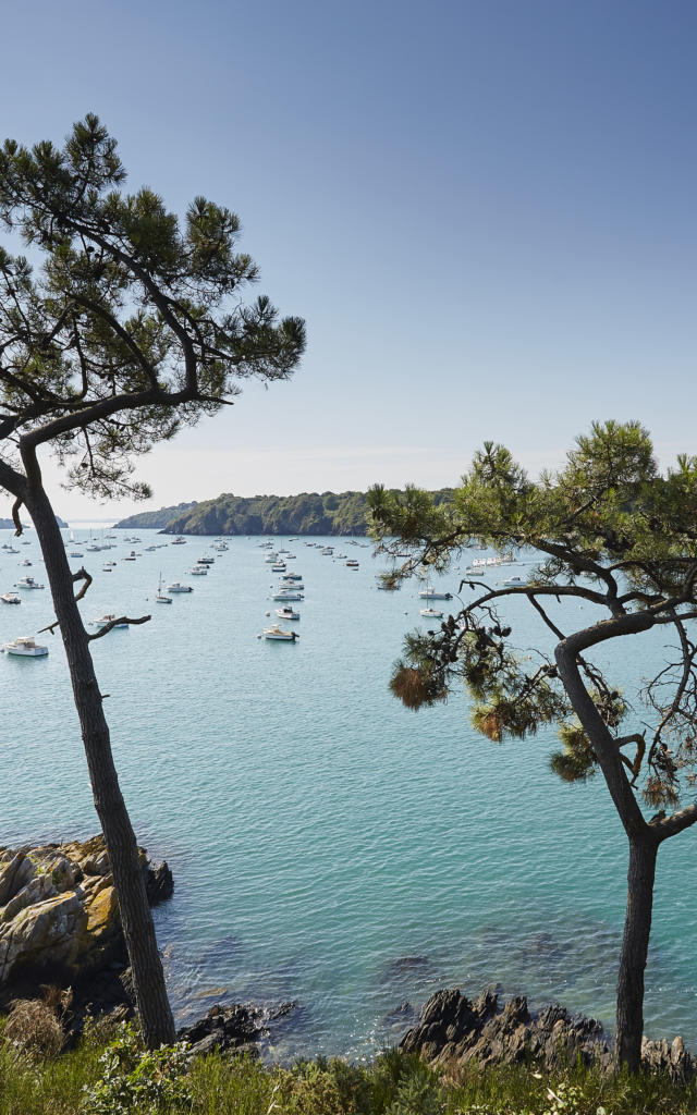cancale-3.jpg