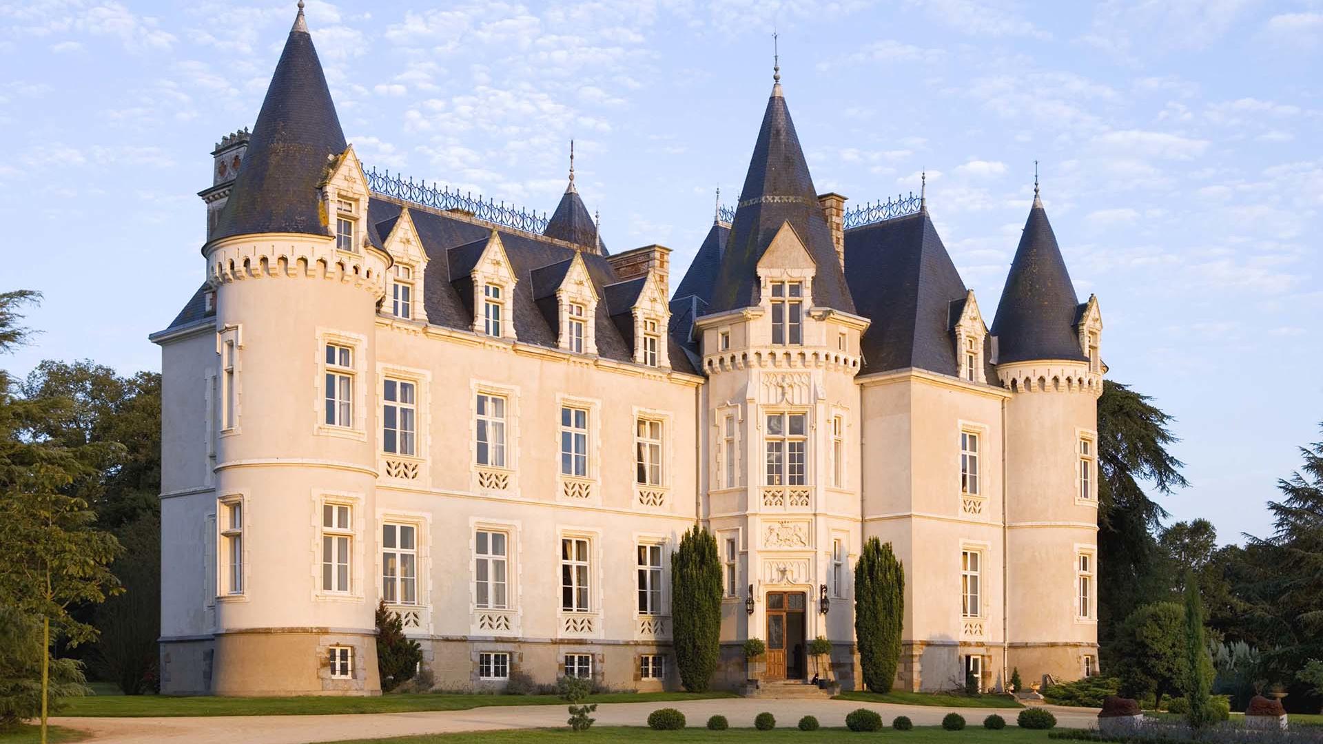 Sechs Meerestierarten, die Sie in der Bretagne beobachten können