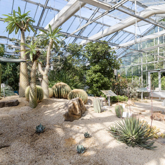 conservatoire-botanique-brest-mathieu-le-gall.jpg