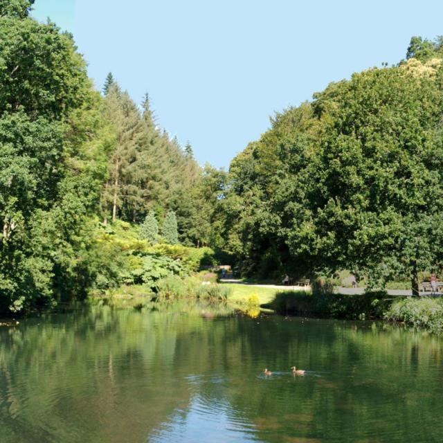 conservatoire-botanique-national-etang-sud-brest-charlotte-dissez.jpg