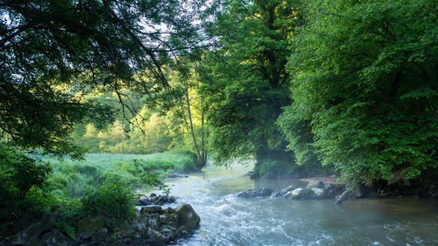 couesnon-628-15.jpg